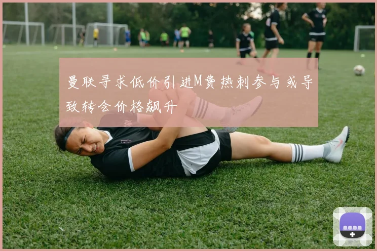 曼联寻求低价引进M费热刺参与或导致转会价格飙升