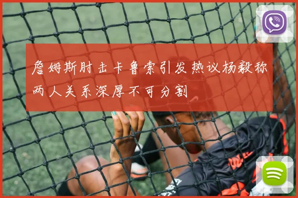 詹姆斯肘击卡鲁索引发热议杨毅称两人关系深厚不可分割