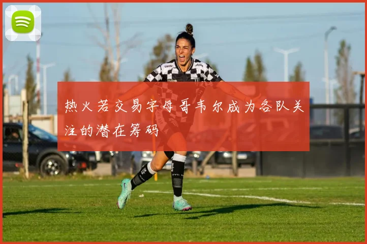 热火若交易字母哥韦尔成为各队关注的潜在筹码